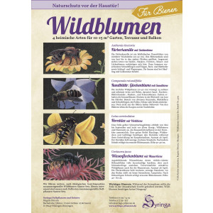 Samen-Set für Bienen, Wildblumen 